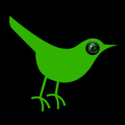 Birdcam Solutions
